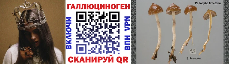 Псилоцибиновые грибы ЛСД  Купить  Ядрин 